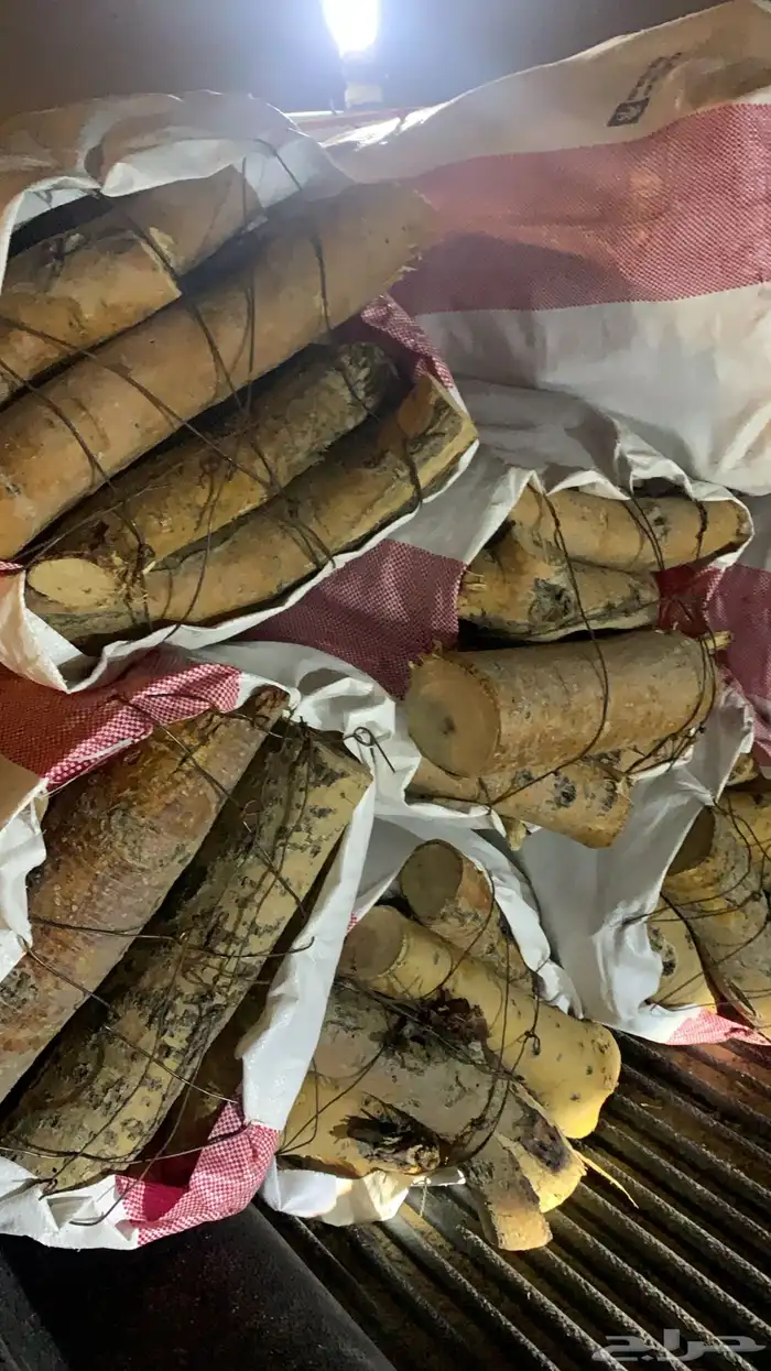 فحم و حطب مستورد 5