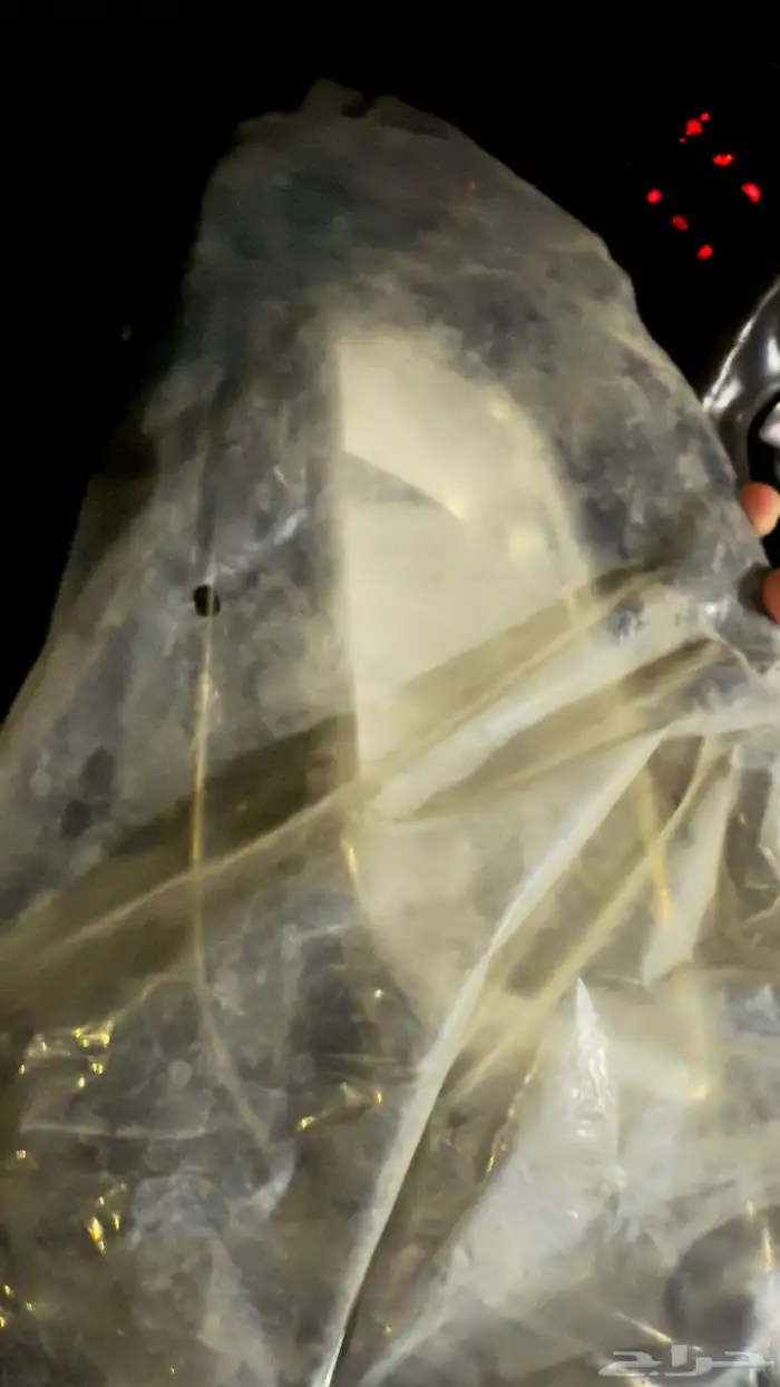 كشاف ضباب اوبتيما 2015 1