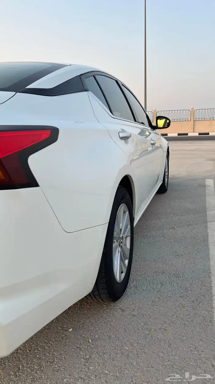 التيما 2022 مالك اول 12