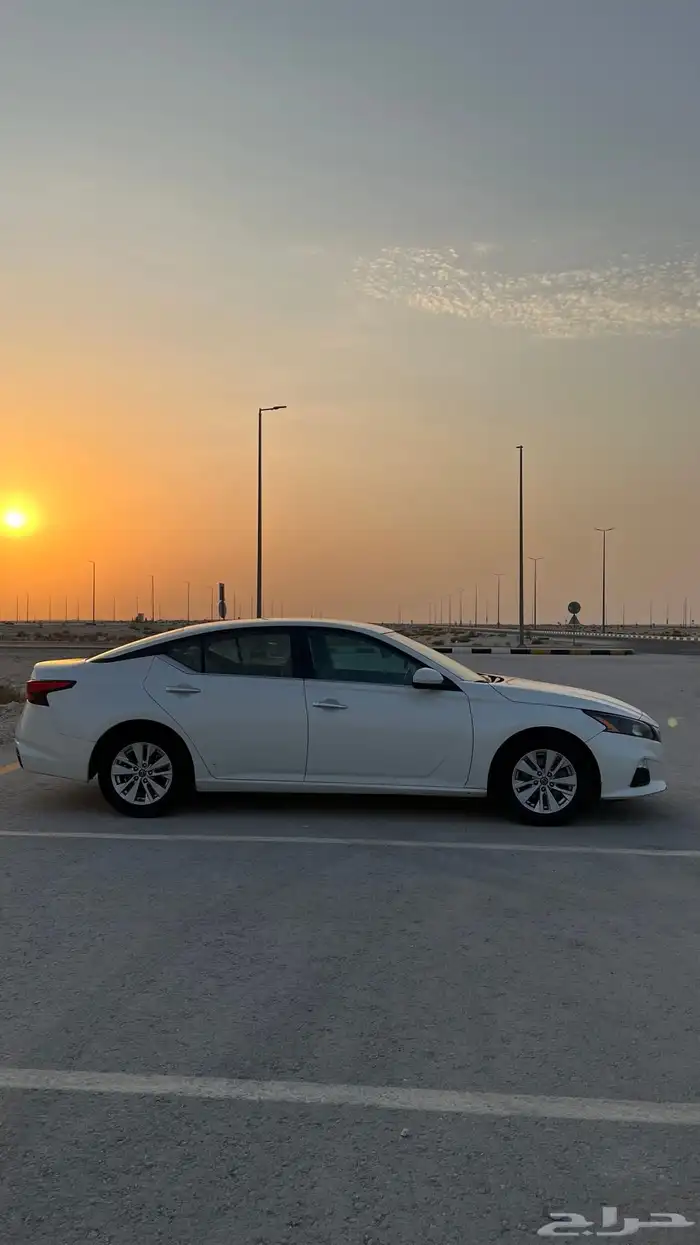 التيما 2022 مالك اول 8