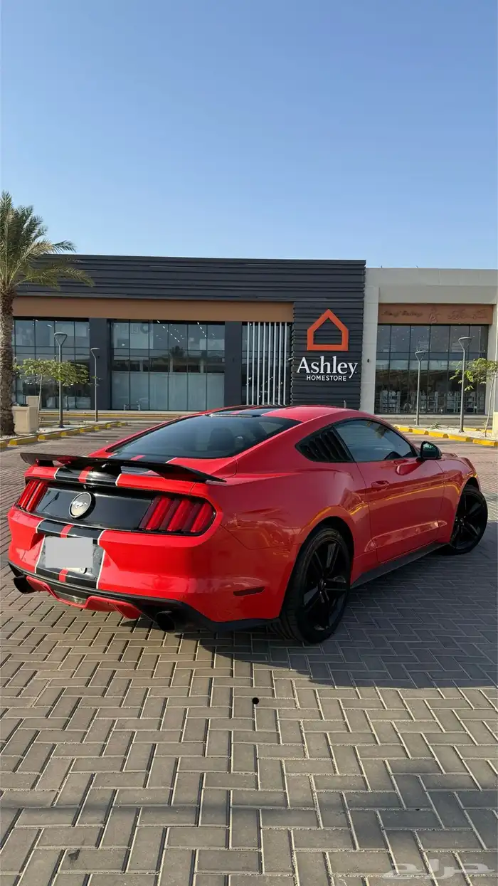 موستنج 2015 ايكوبوست 1