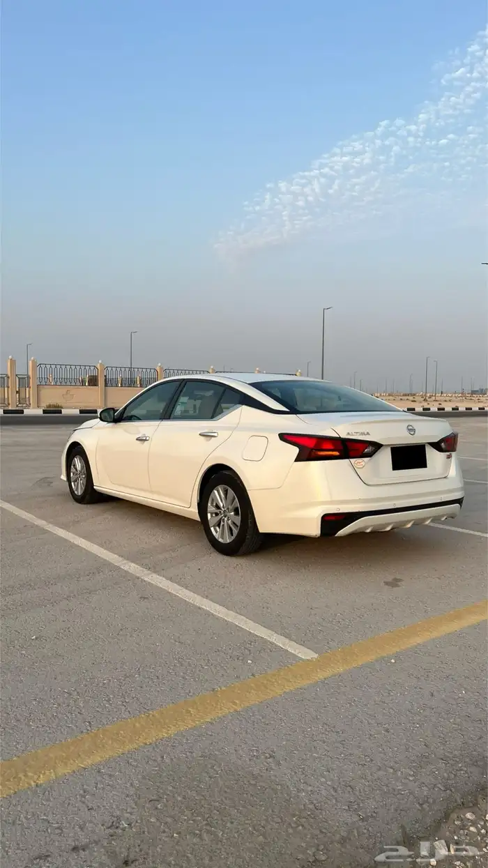 التيما 2022 مالك اول 4