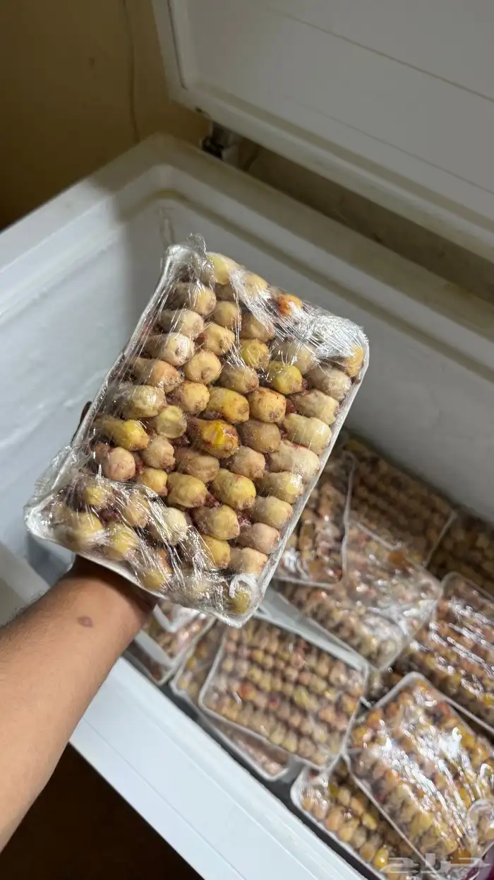 بقلاوه مصر 0