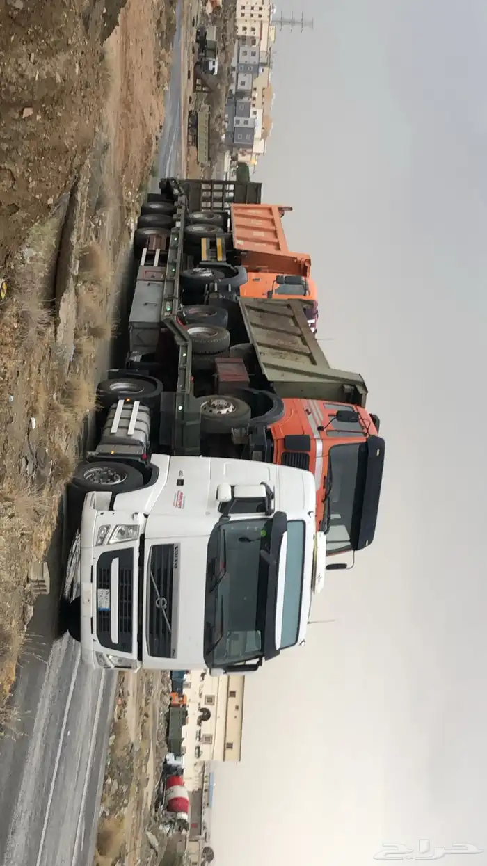 لوبد متواجد في المدينه المنوره 1