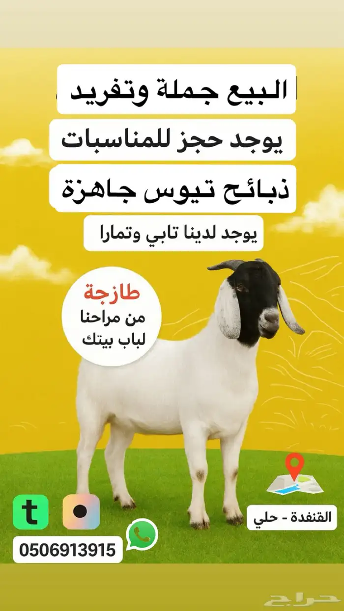 تيوس جذعان شحم ولحم الموقع (القنفذة-حلي) 0