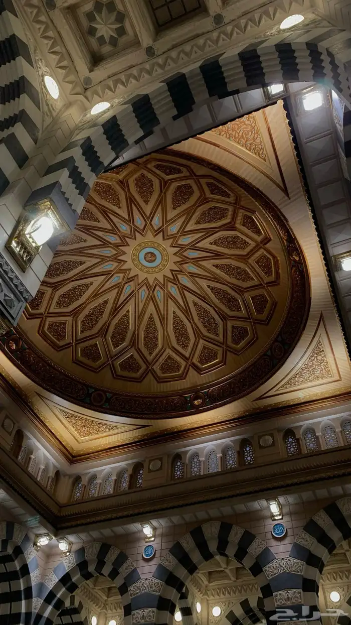 مشاوير شهريه وتوصيل دوامات 0