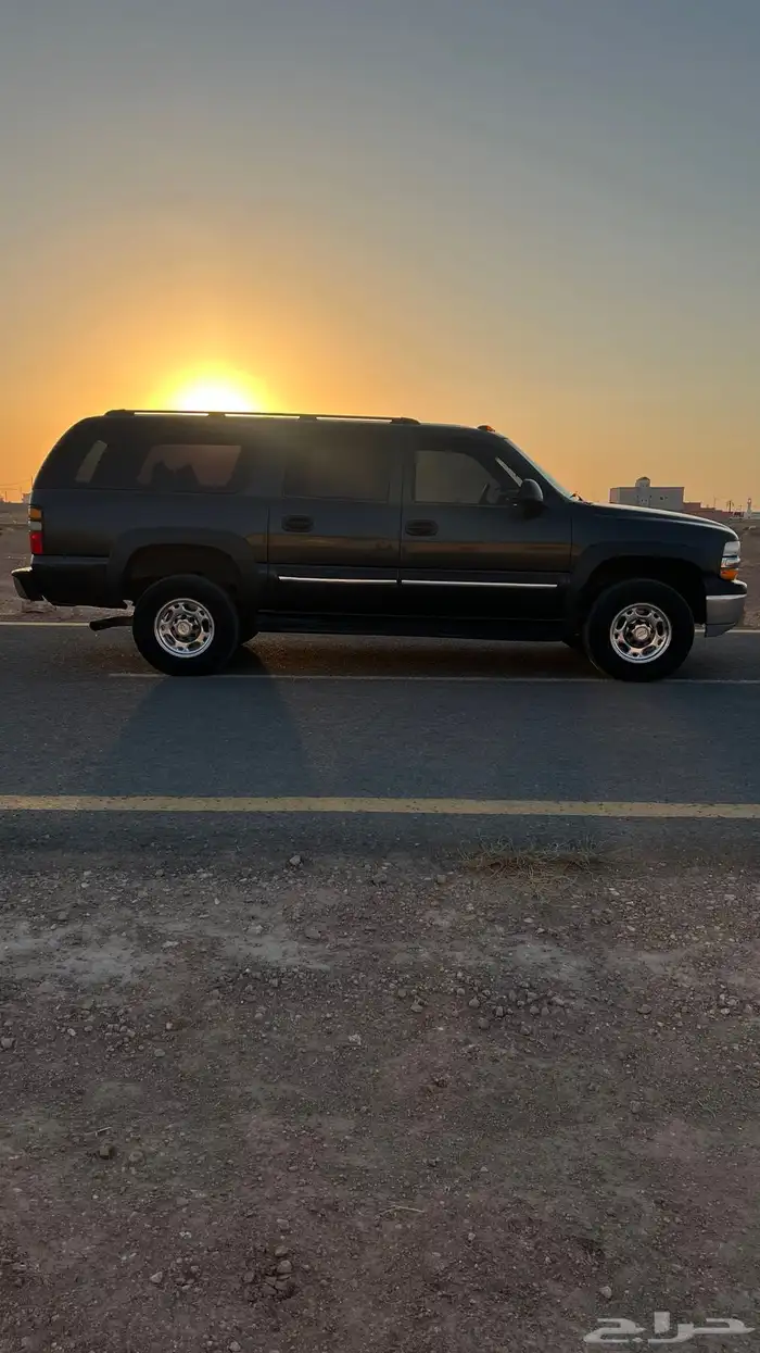 جمس شفر طويل 1