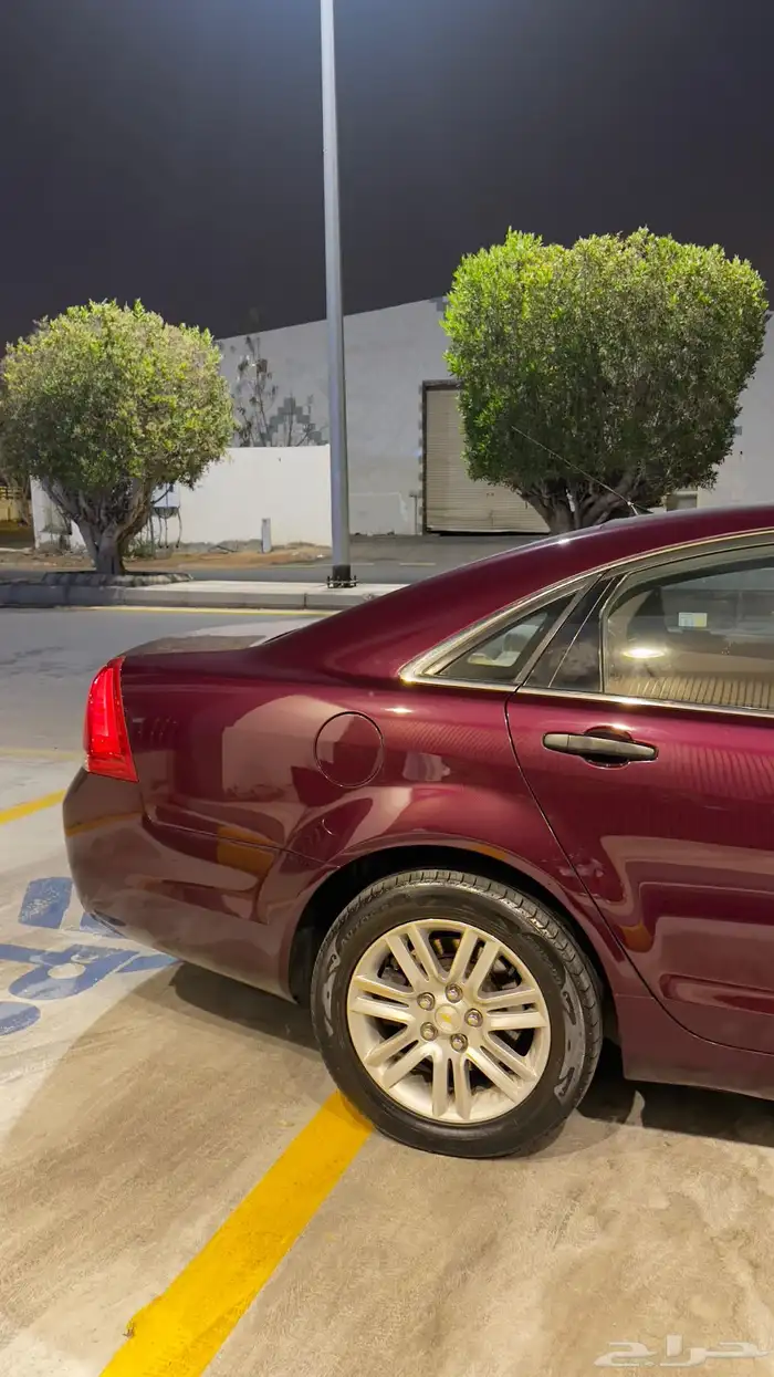 كابرس 2012 عنابي 3