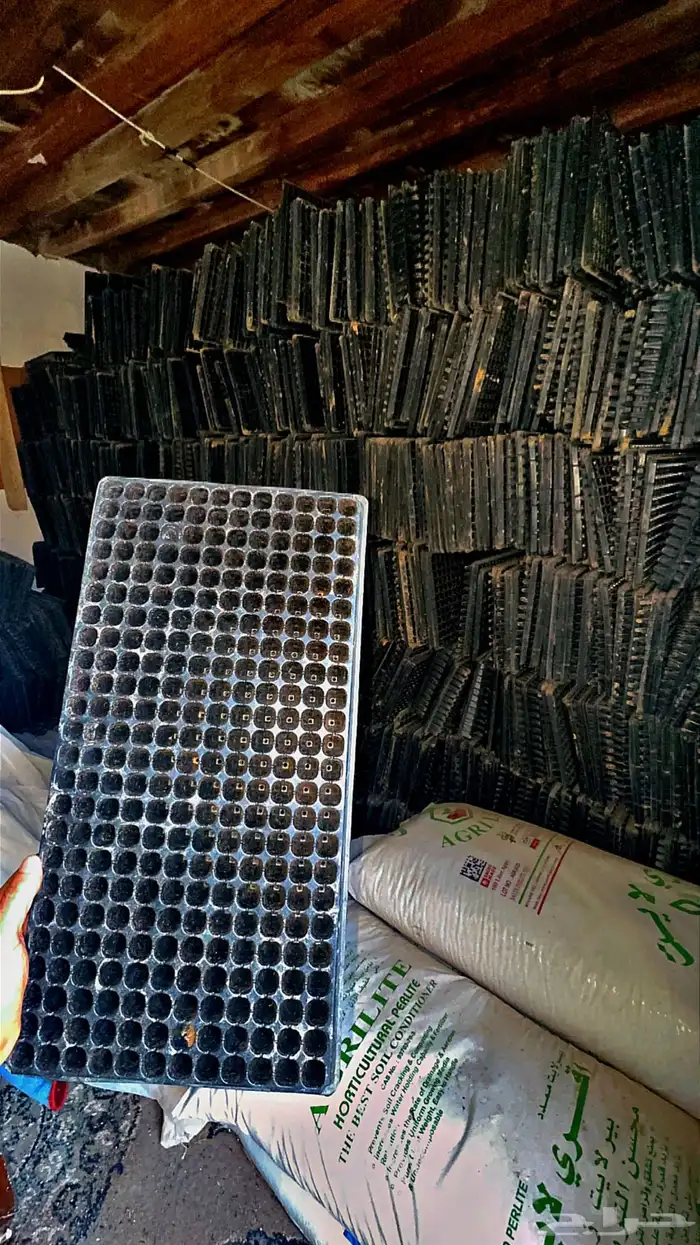 صواني صينيه شتل زراعيه خس وملفوف وطماط 0