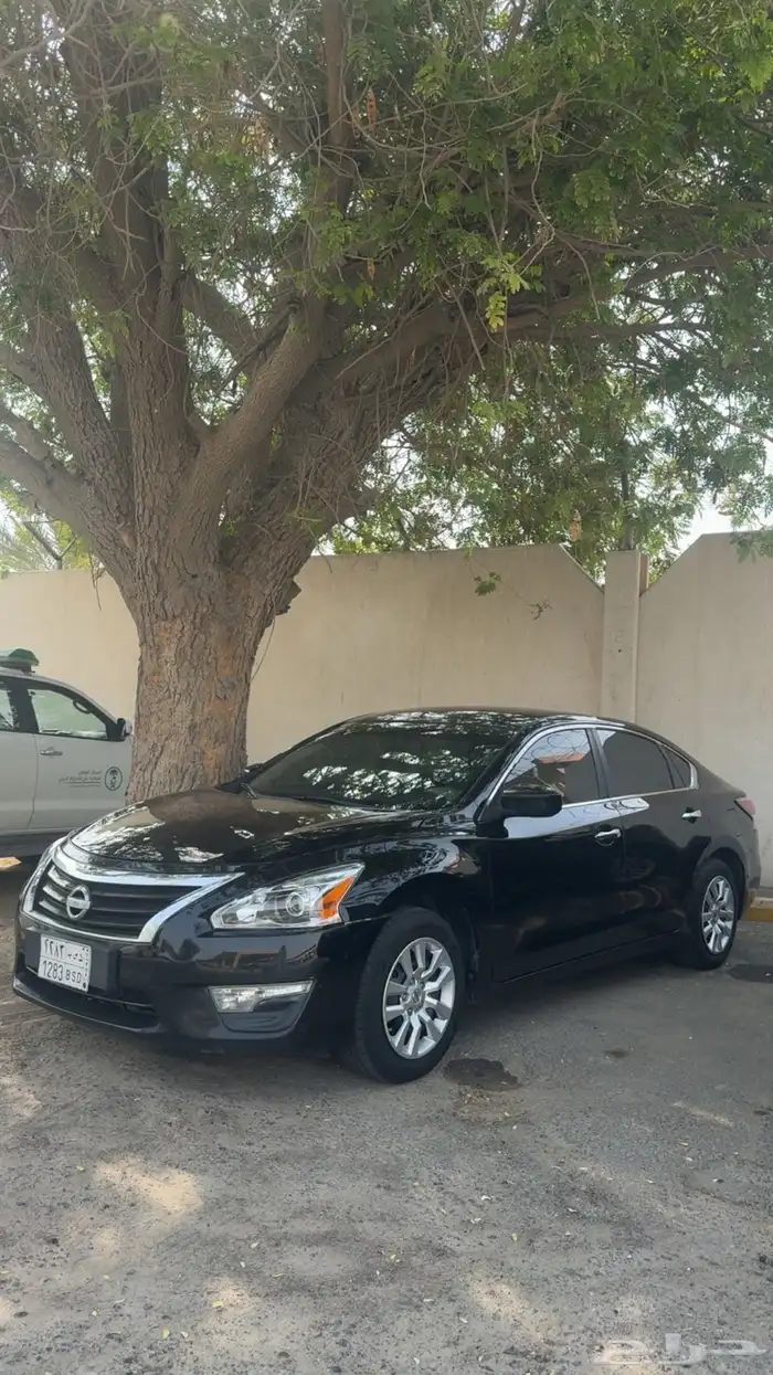 التيما نضيفه 2015 0