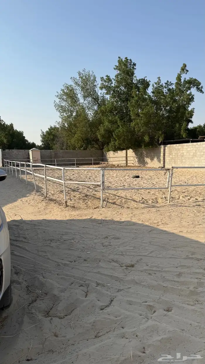 اسطبل كامل للاجار 3