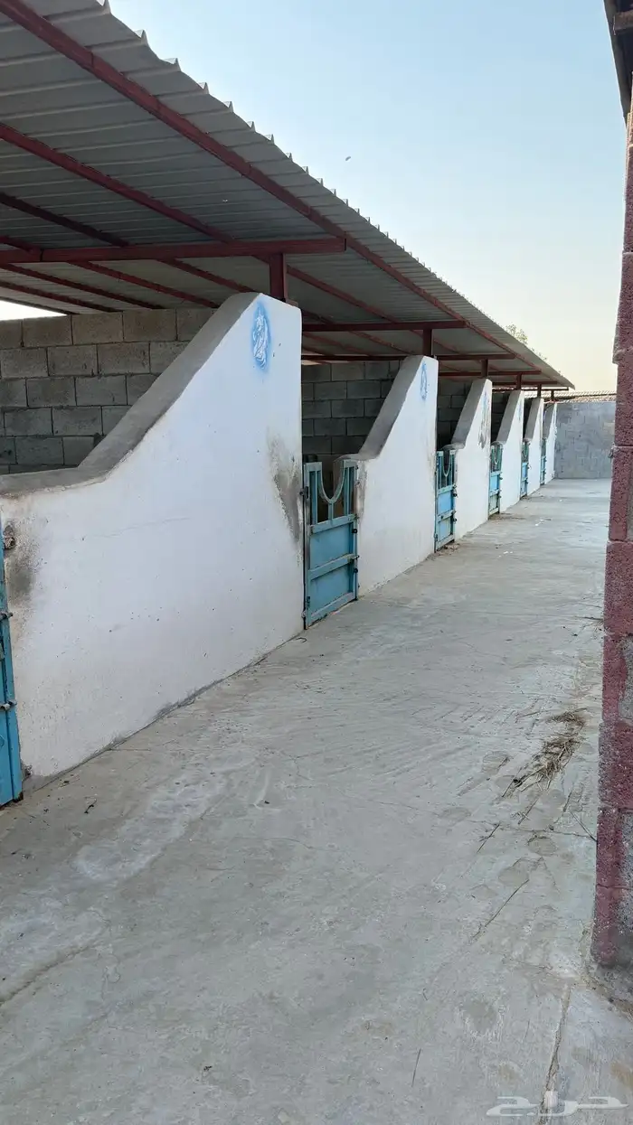 اسطبل كامل للاجار 1