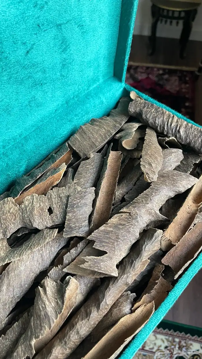 عود زوايا هندي قرميد فاخر طبيعي 4