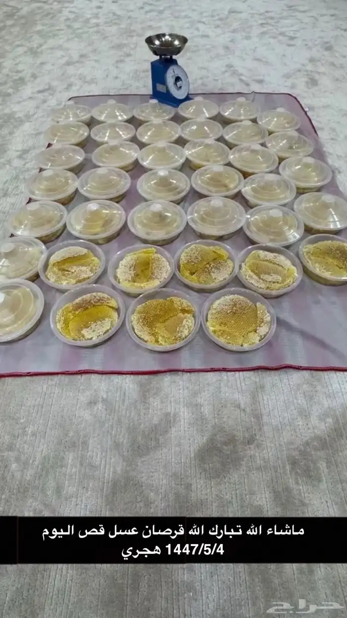 قرصان عسل سدر قص اليوم 5 5 0