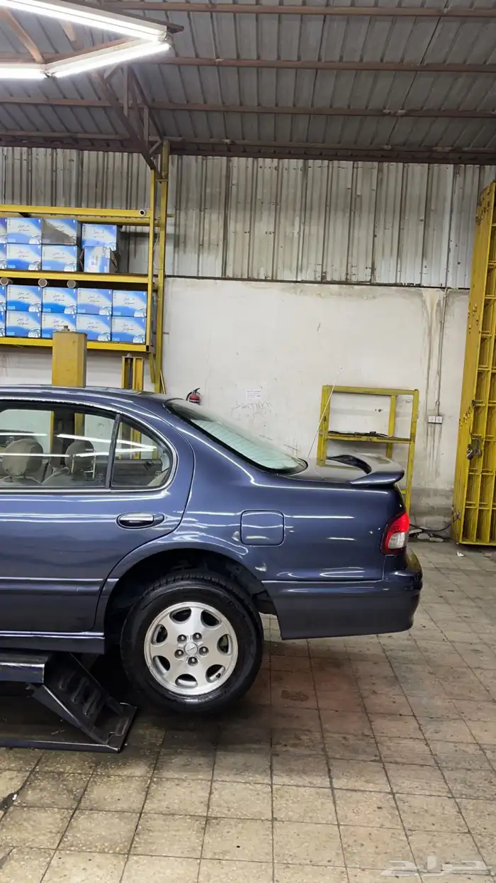 مكسيما 99 قير عادي 11