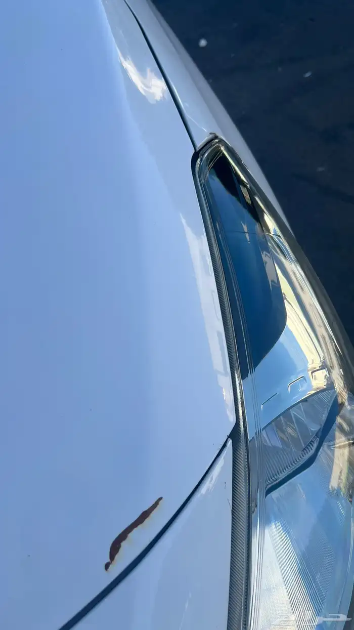 صني2020 للبيع 17