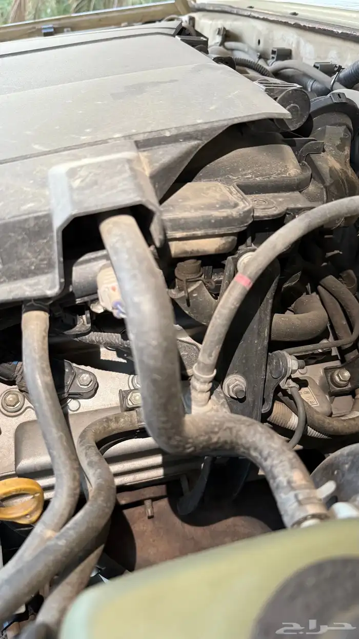 ربع 2013 دمعة فل كامل 39