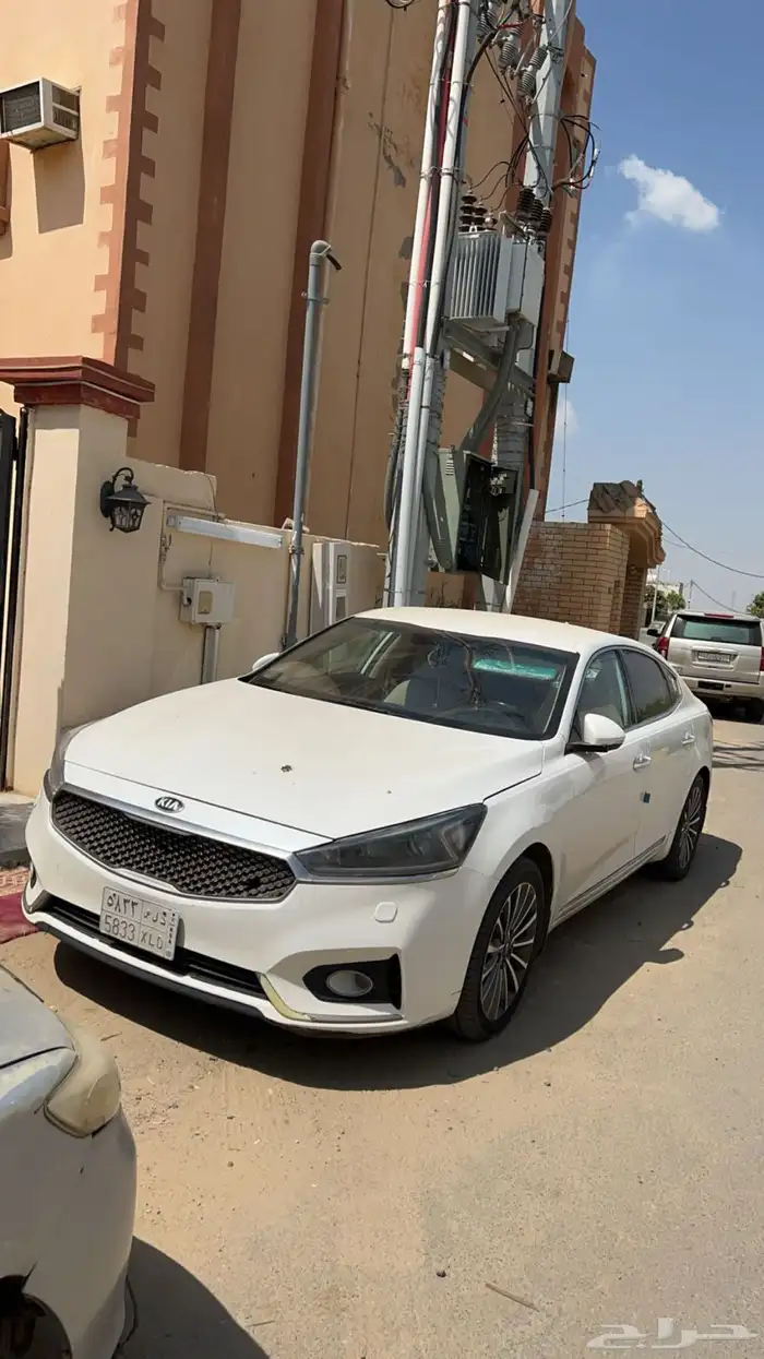 كادينزا 2020 3