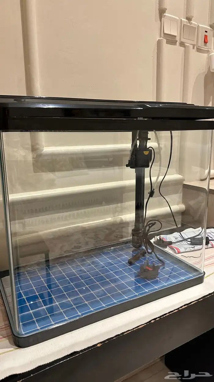 حوض اسماك مع اسماك 0