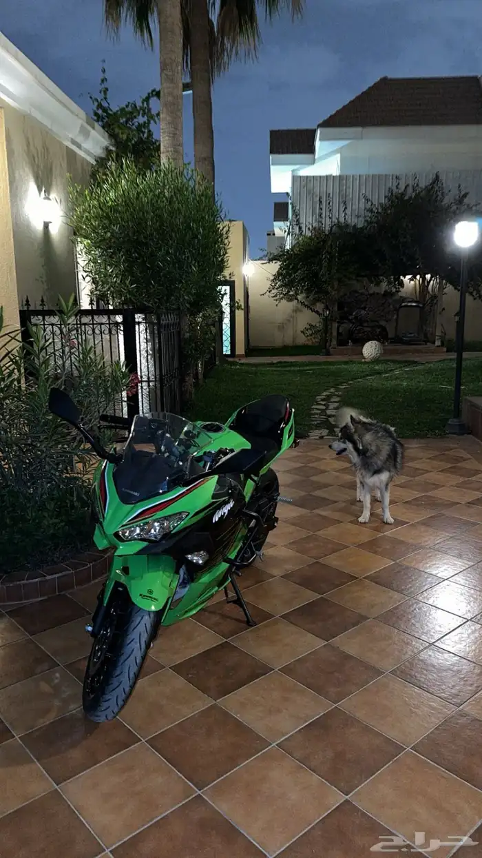 Kawasaki Ninja 400 2023 1