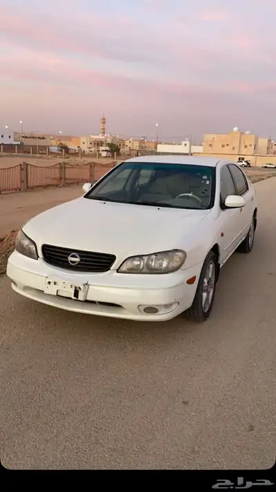 مكسيما 2007 0