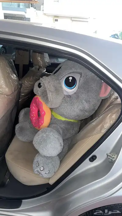 كلب للبيع على السوم 0