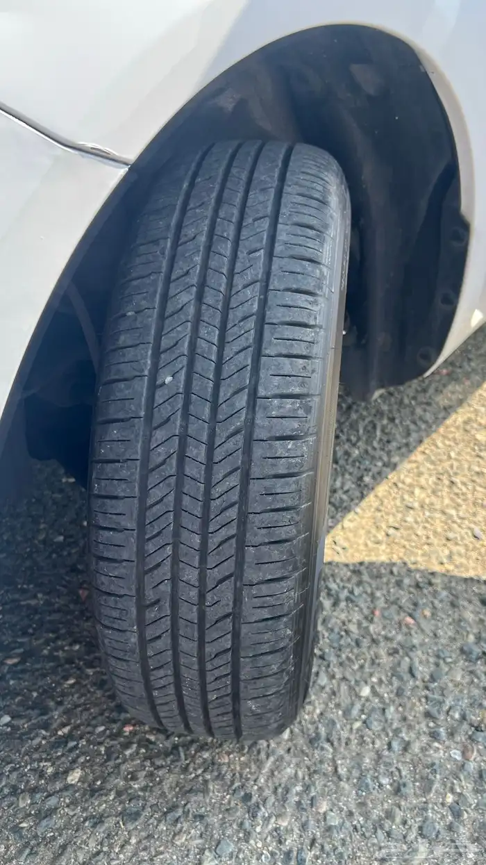 صني2020 للبيع 15