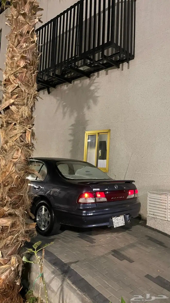 مكسيما 99 قير عادي 8