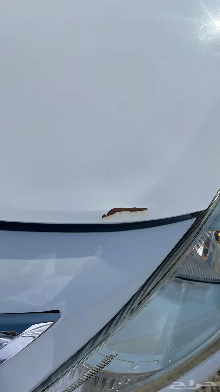 صني2020 للبيع 12