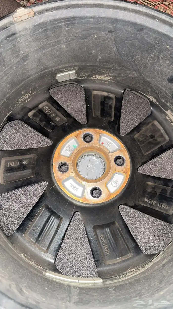 جنوط يارس 2024 وكاله 2