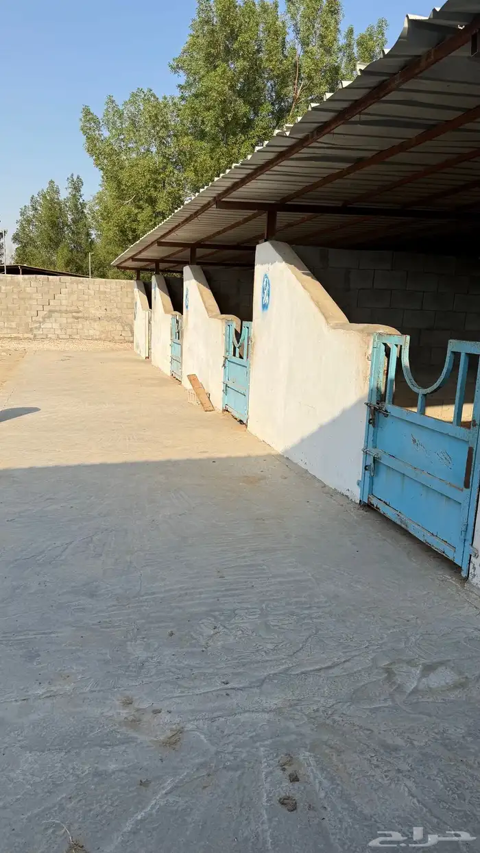 اسطبل كامل للاجار 0