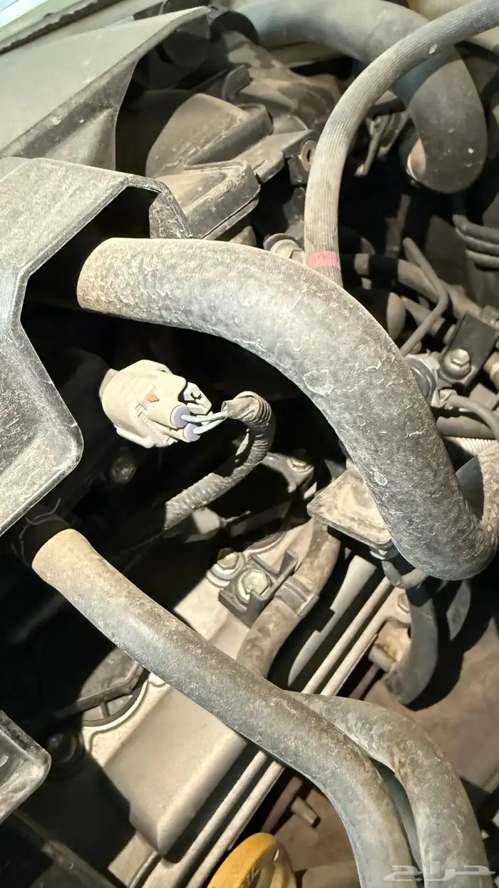 ربع 2013 دمعة فل كامل 41