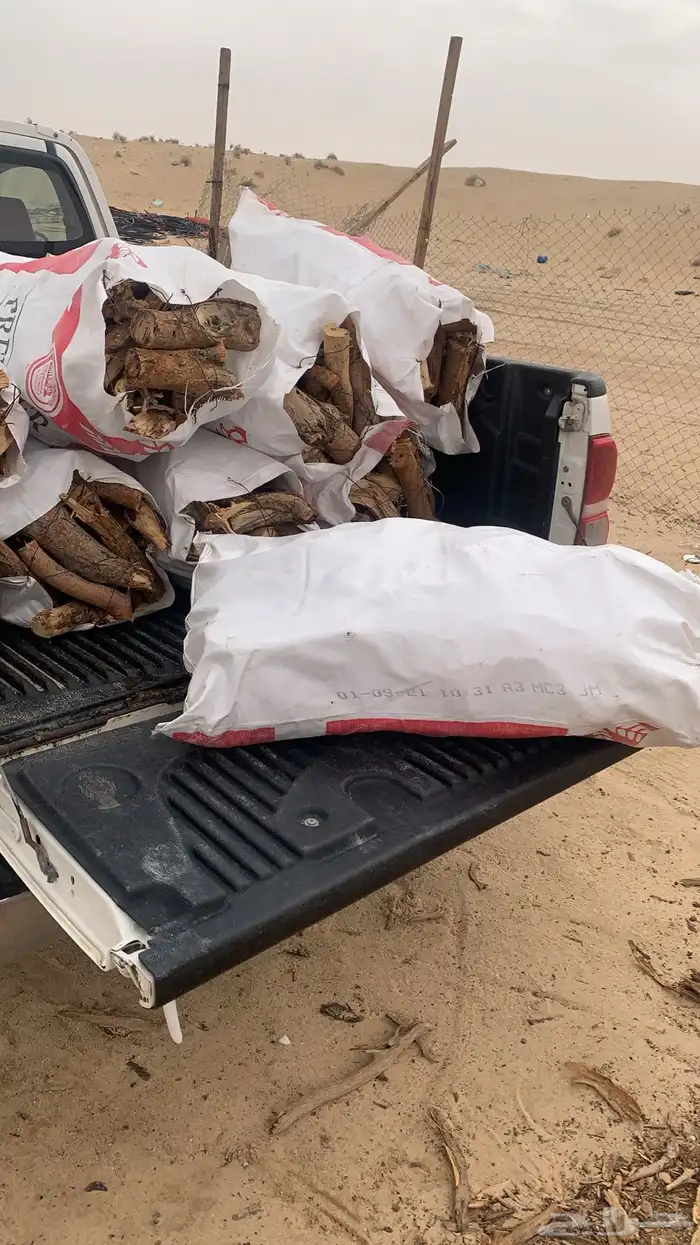 فحم و حطب مستورد 6