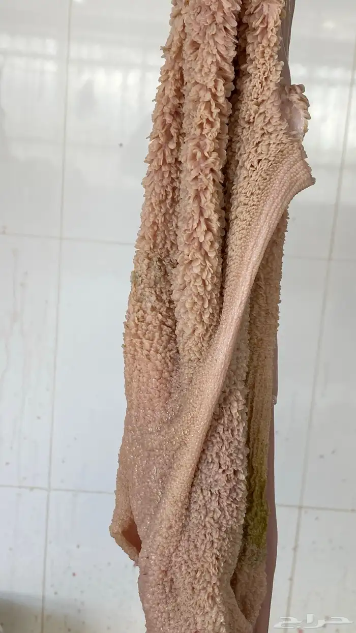 متوفر ذبايح نعيم ( تابي تمارا ) 20