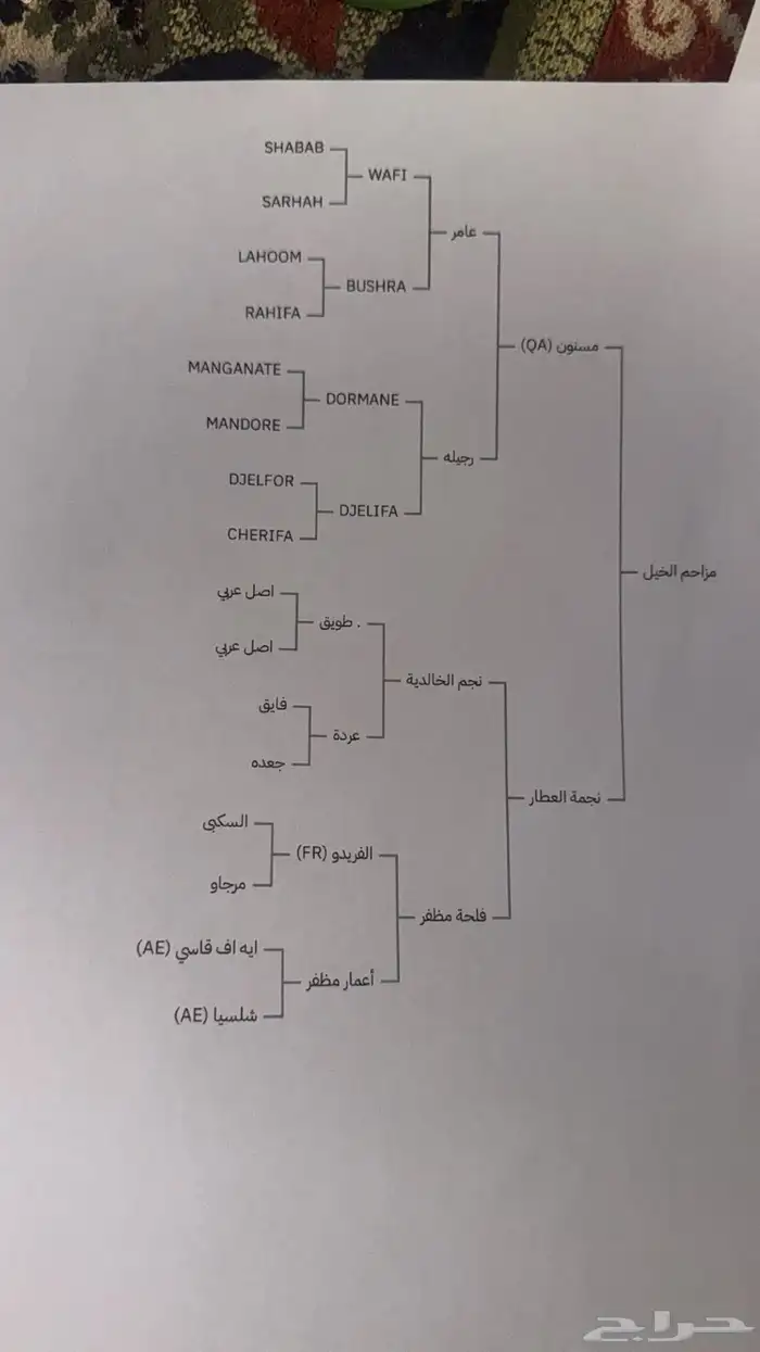 مهر عربي خط سرعه 2