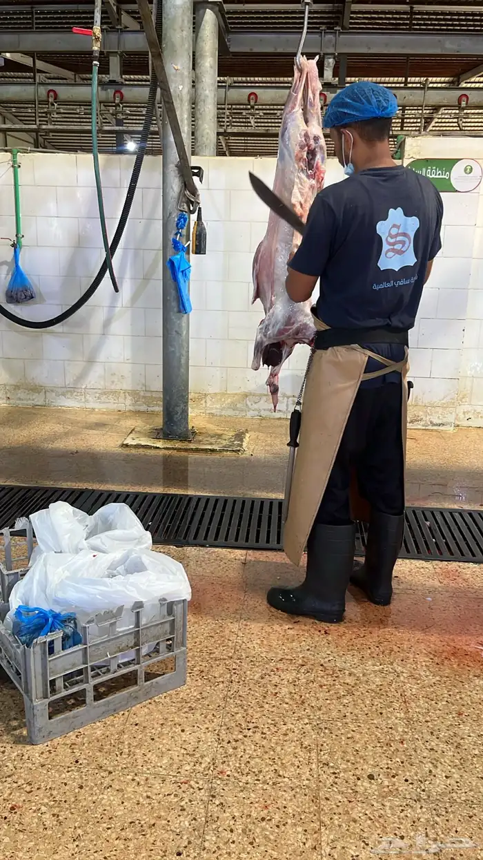 ذييحتك لباب بيتك 0