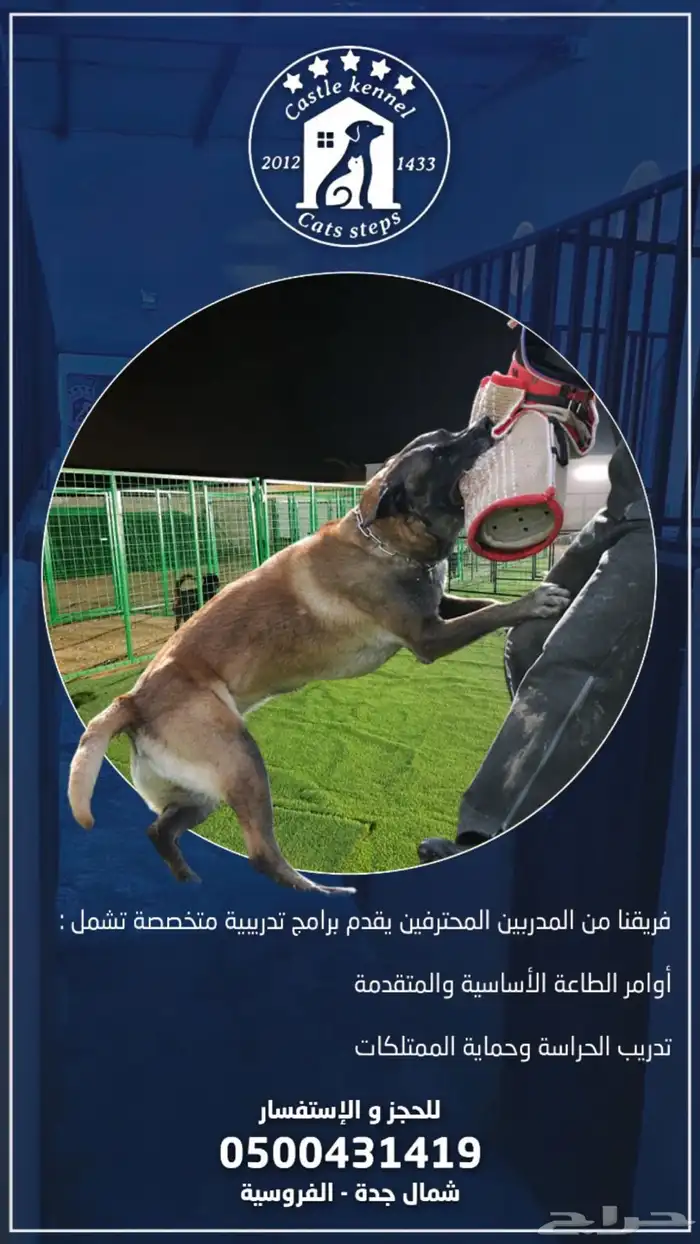 فندقة وتدريب كلاب 2