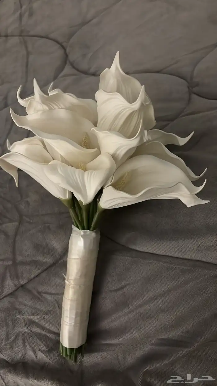 مسكه للايجار 3