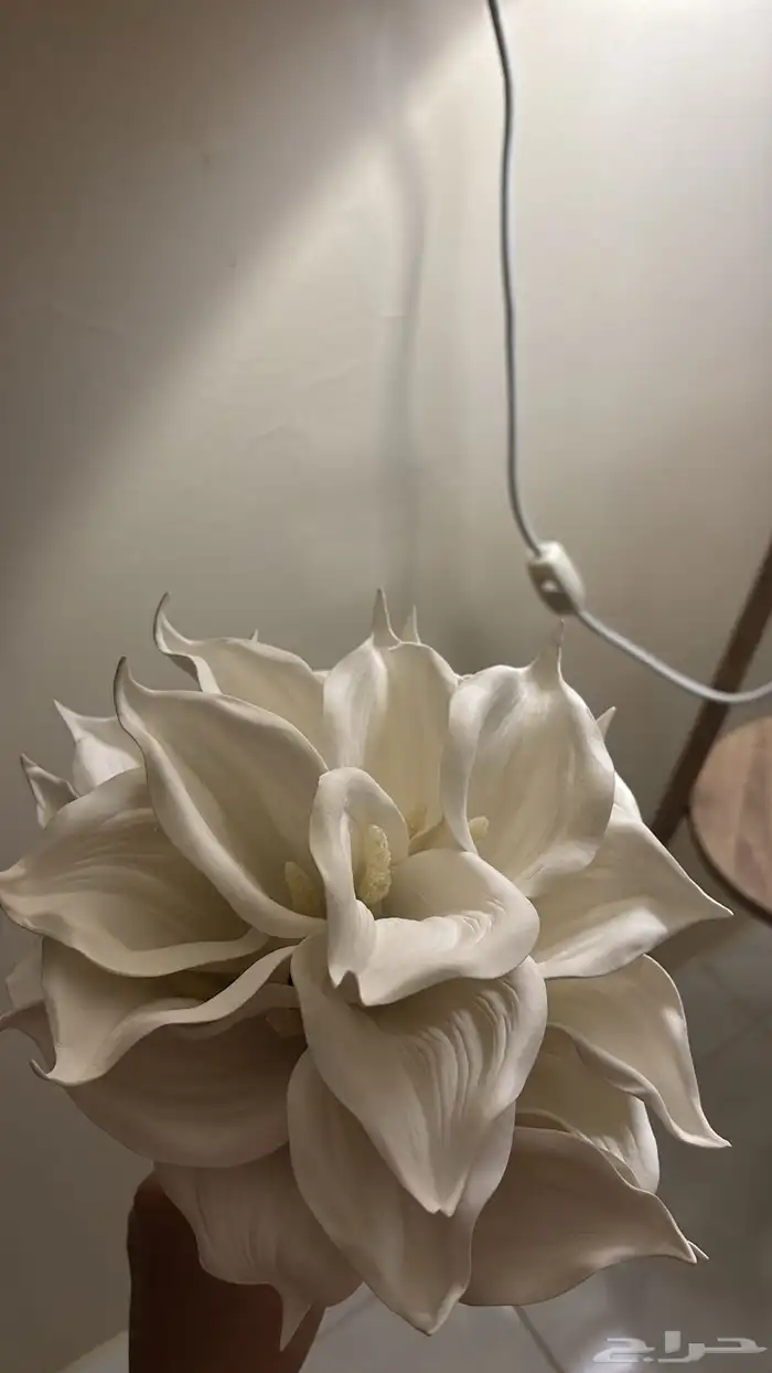 مسكه للايجار 2