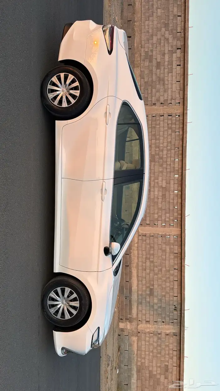 كامري شبه الاصفار 4