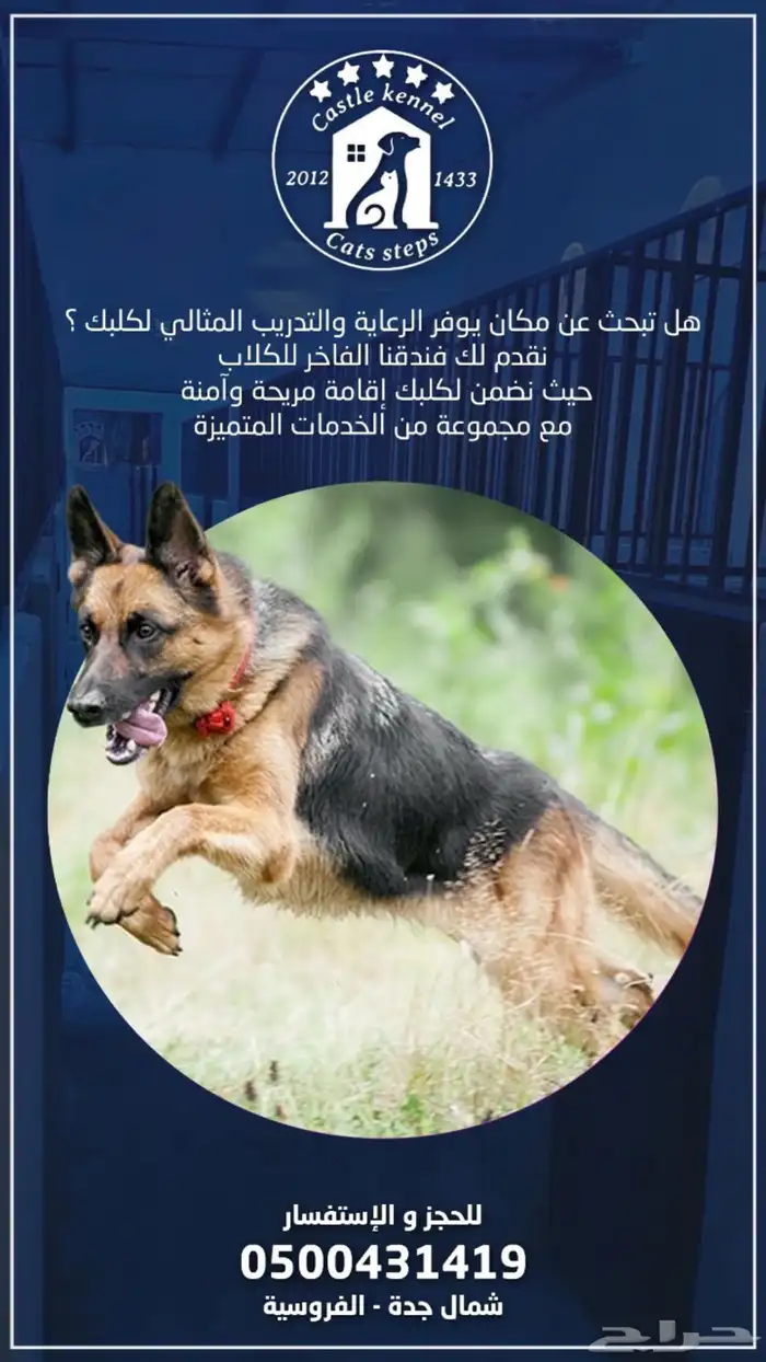 فندقة وتدريب كلاب 0