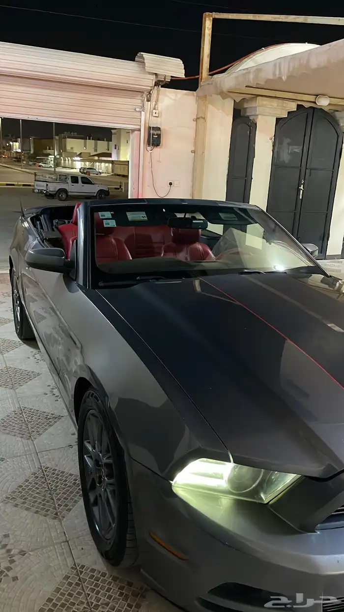 موستنج 2013 7