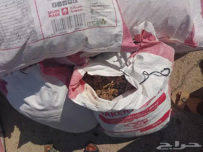 تمر حلال تمر نظيف جدا 2