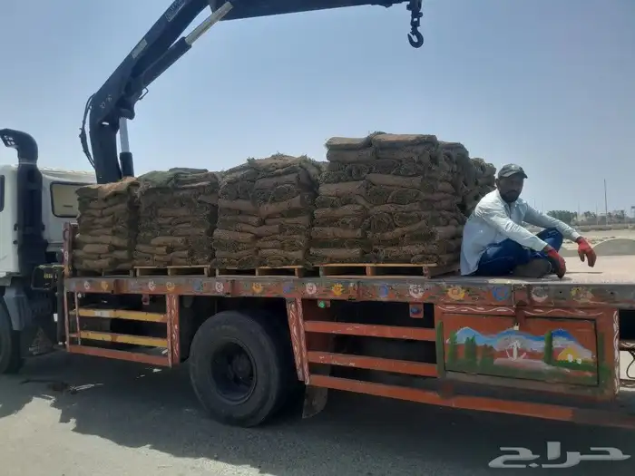 رافعه ونش كرينات للايجار جدة داخل شغل راقم جوال وتس اب 1