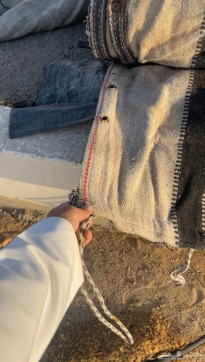 بيت شعر مروبع ابيض 12 في 12 2