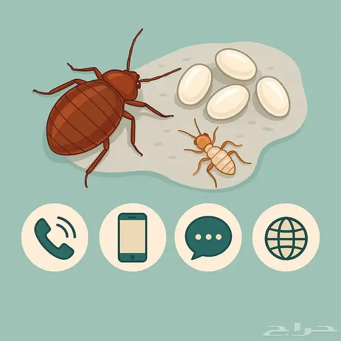 شركة نظافة عامة ومكافحة الحشرات والحمام 15