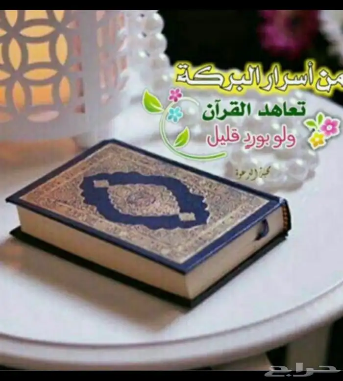 تحفيظ قرآن عن بعد لجميع الأعمار 1
