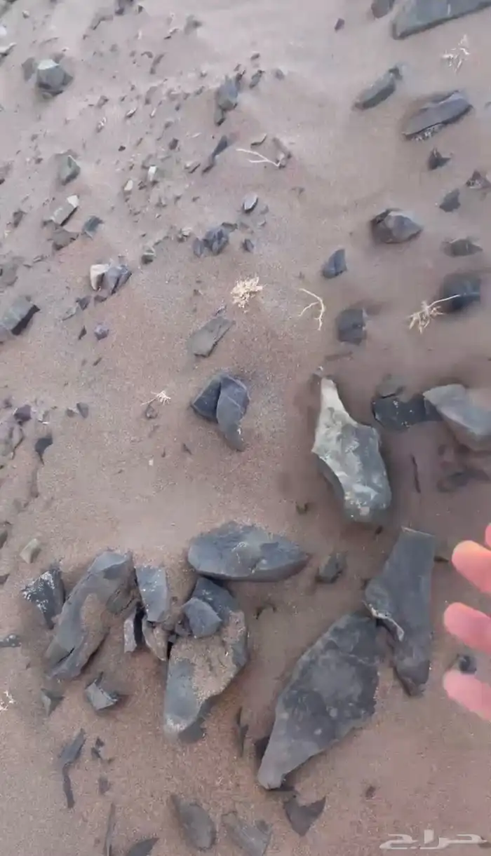 تربة المليليح 0