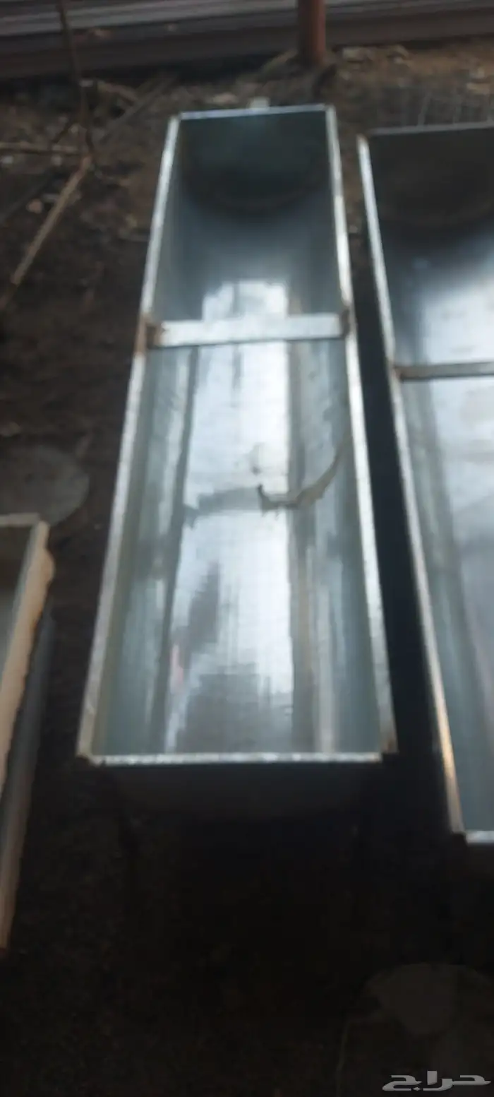 مالف غنم داعرى مياء 2 40 2