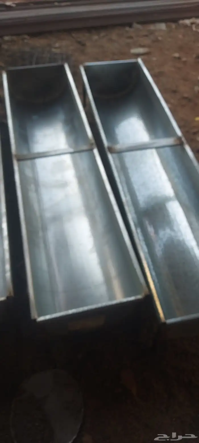 مالف غنم داعرى مياء 2 40 0